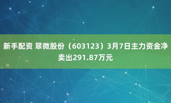 新手配资 翠微股份（603123）3月7日主力资金净卖出291.87万元