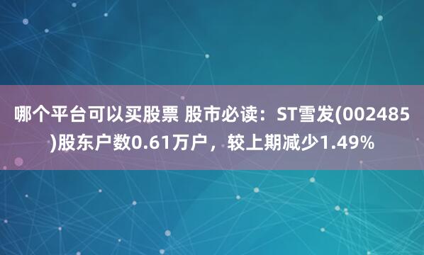 哪个平台可以买股票 股市必读：ST雪发(002485)股东户数0.61万户，较上期减少1.49%