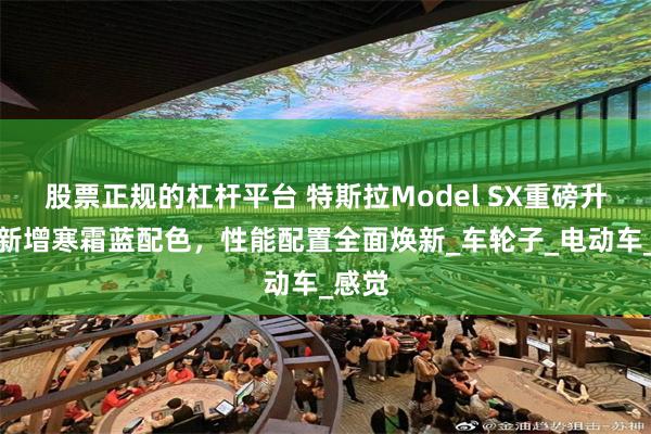股票正规的杠杆平台 特斯拉Model SX重磅升级，新增寒霜蓝配色，性能配置全面焕新_车轮子_电动车_感觉