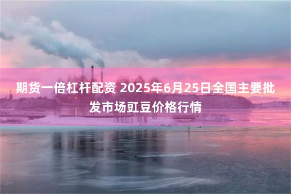 期货一倍杠杆配资 2025年6月25日全国主要批发市场豇豆价格行情